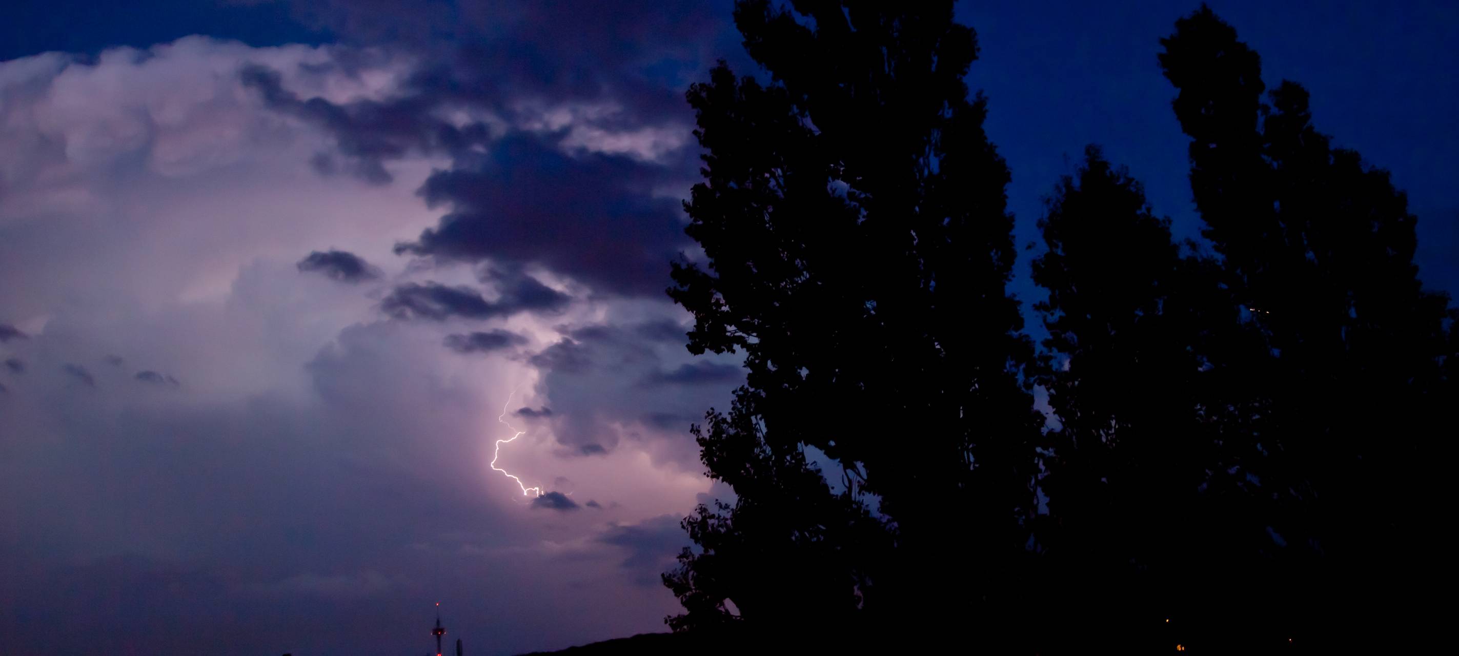 Unwetter: Zoo bleibt heute geschlossen