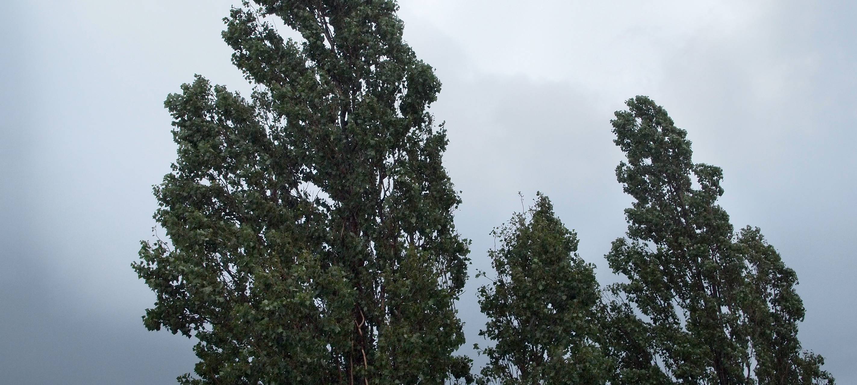 Deutsche Wetterdienst warnt vor Unwetter in Dortmund