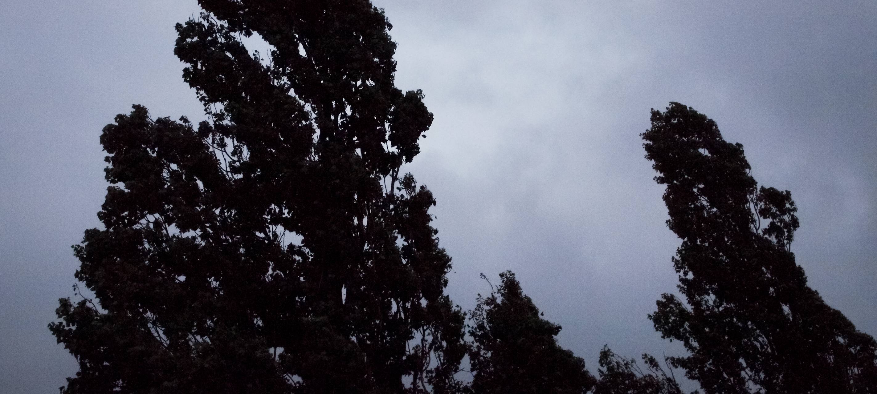 Aktuelle Wetterlage führt zu Einschränkungen