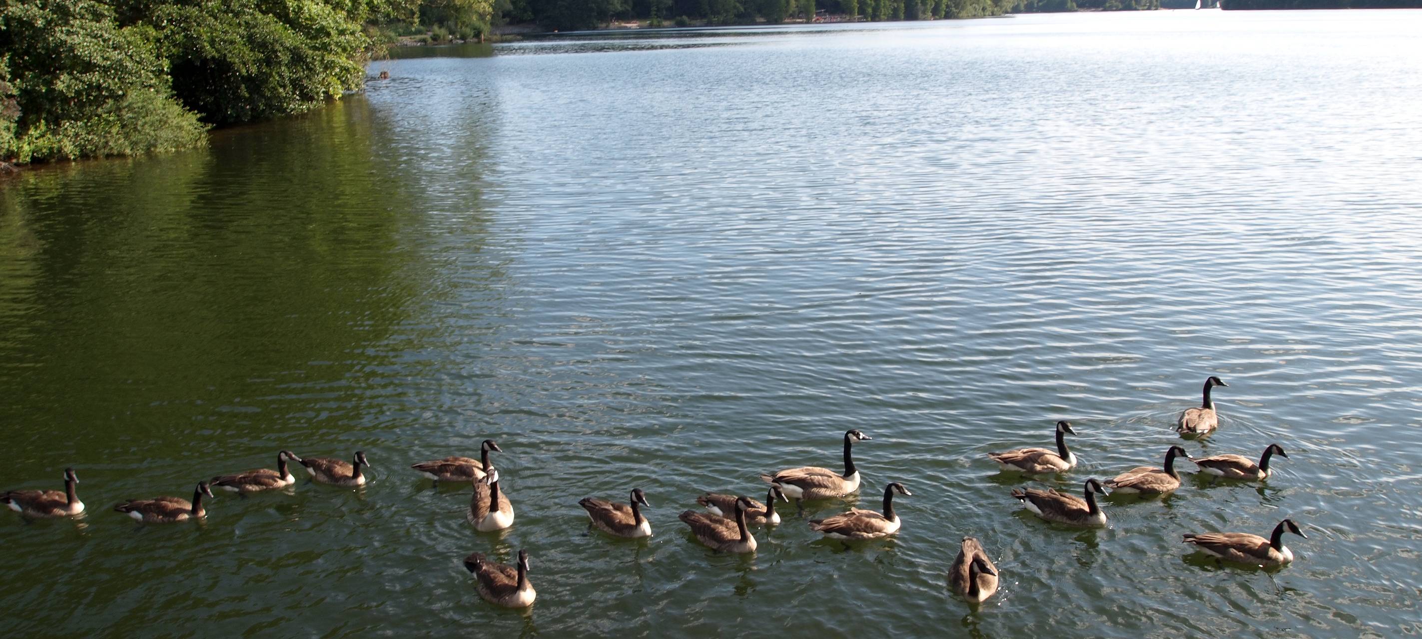 Projekte gegen Klimawandel