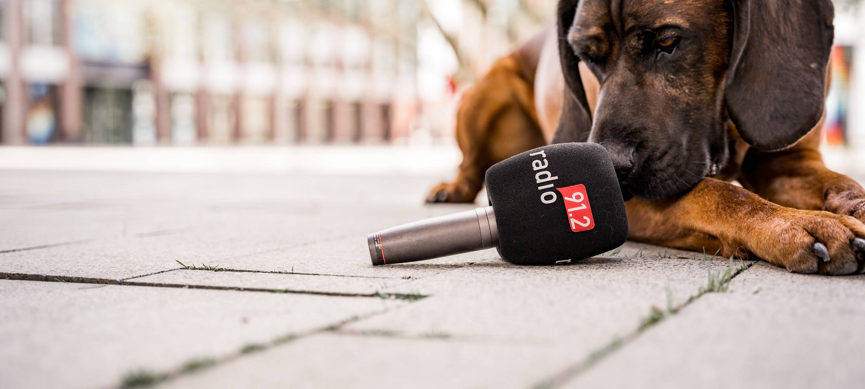 Radio 91.2 bleibt die Nummer 1 in Dortmund