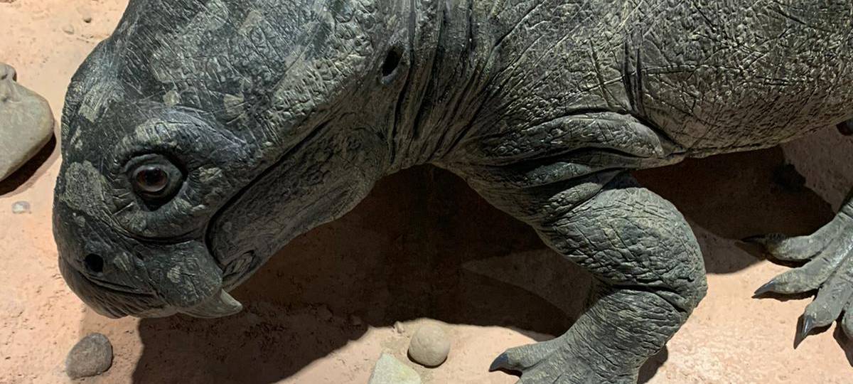 Die Saurier sind Los - zumindest im Dortmunder Naturmuseum!