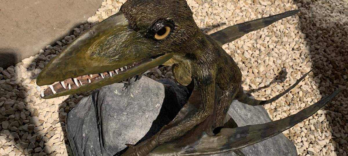 Die Saurier sind Los - zumindest im Dortmunder Naturmuseum!