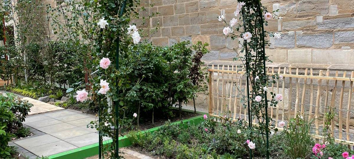 Dortmund: Gartenparadies an Reinoldikirche eröffnet