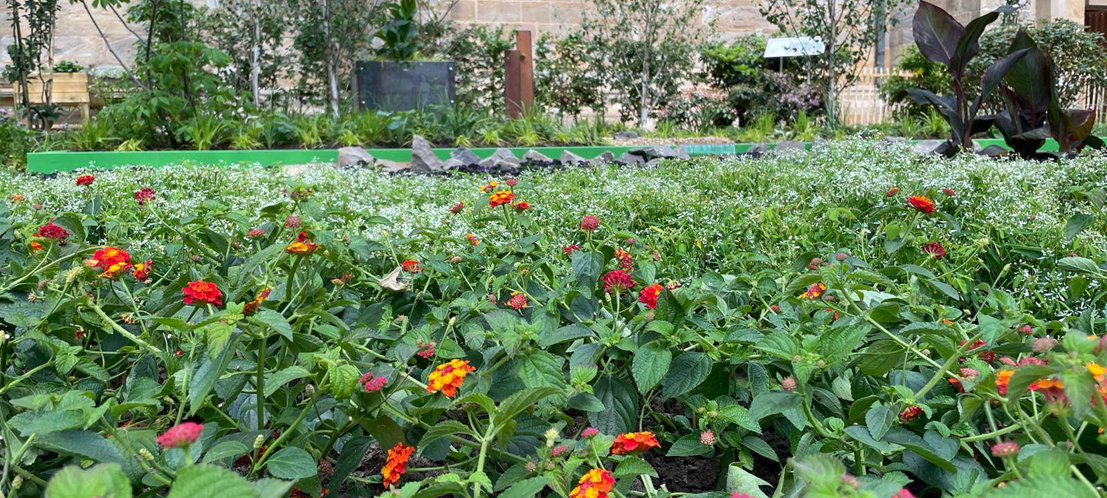 Dortmund: Gartenparadies an Reinoldikirche eröffnet