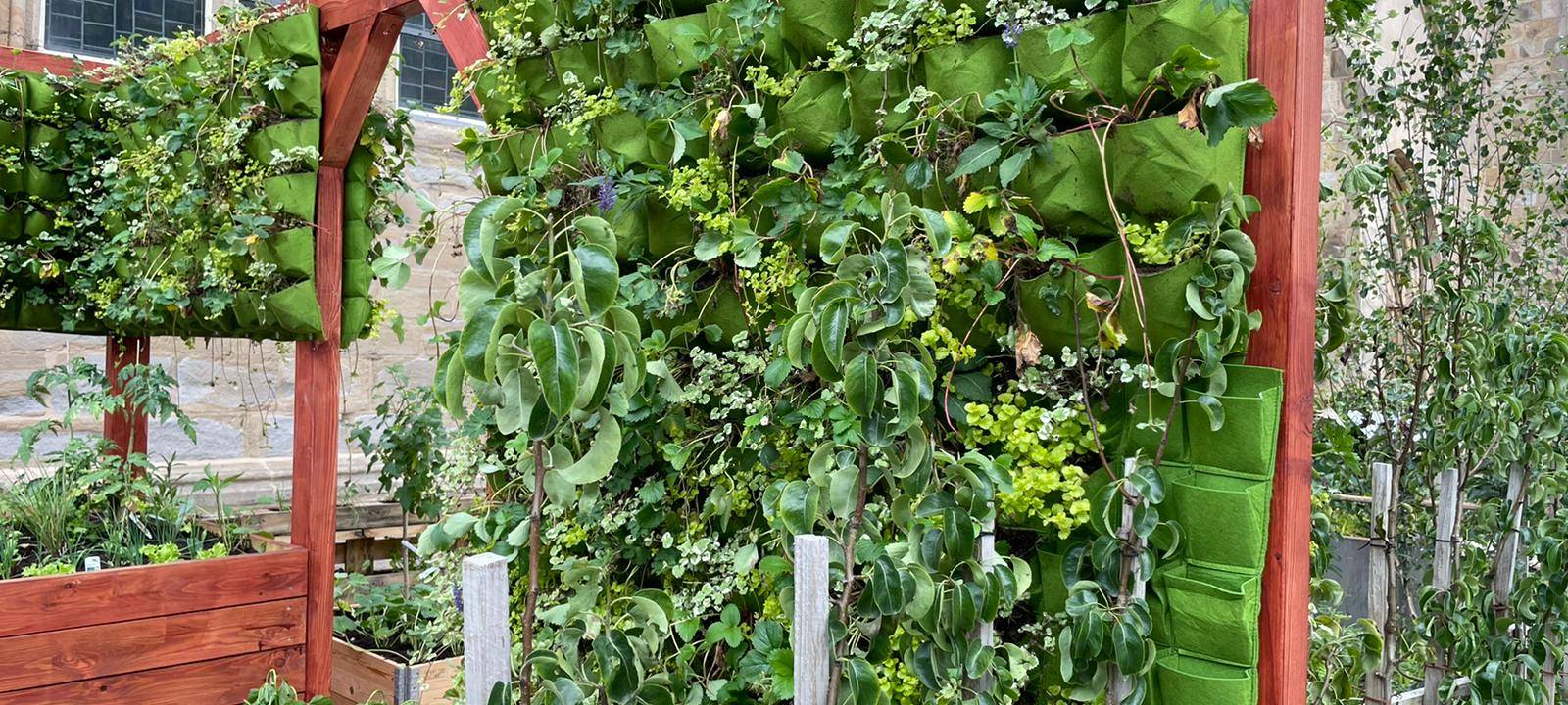 Dortmund: Gartenparadies an Reinoldikirche eröffnet