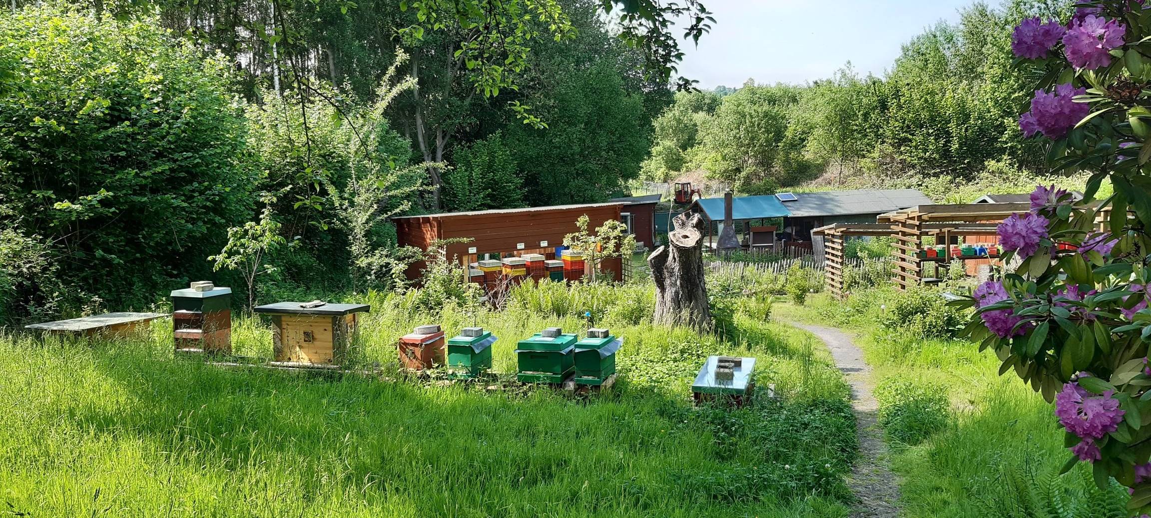 Dortmund: 25 Jahre Bienengarten
