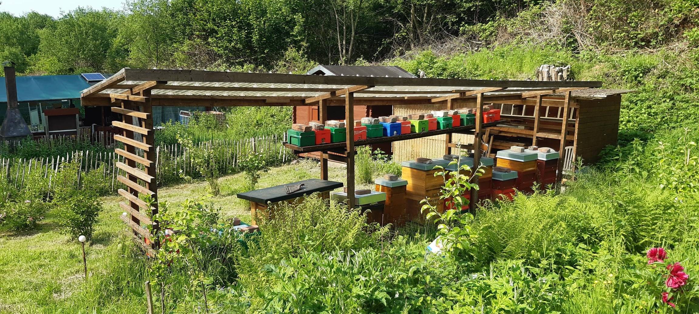 Dortmund: 25 Jahre Bienengarten