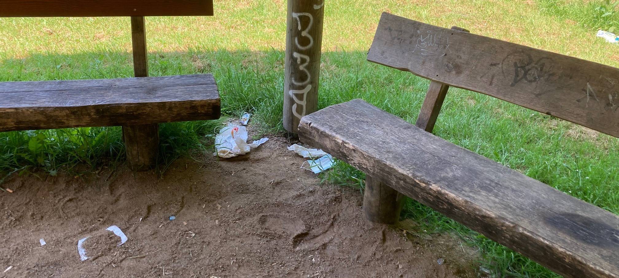 Viel Müll im Naturschutzgebiet Grävingholz