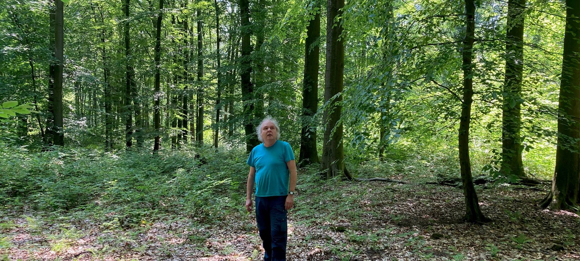 Hitzewelle: Härtetest für Dortmunds Wälder