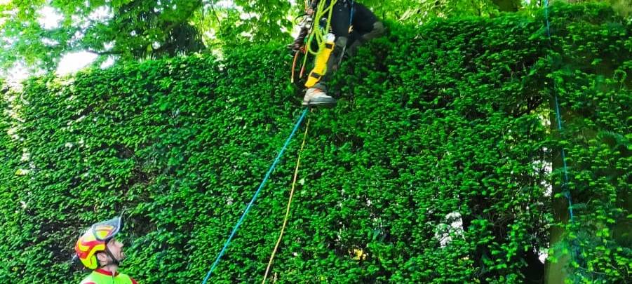 Baumpfleger in Dortmund