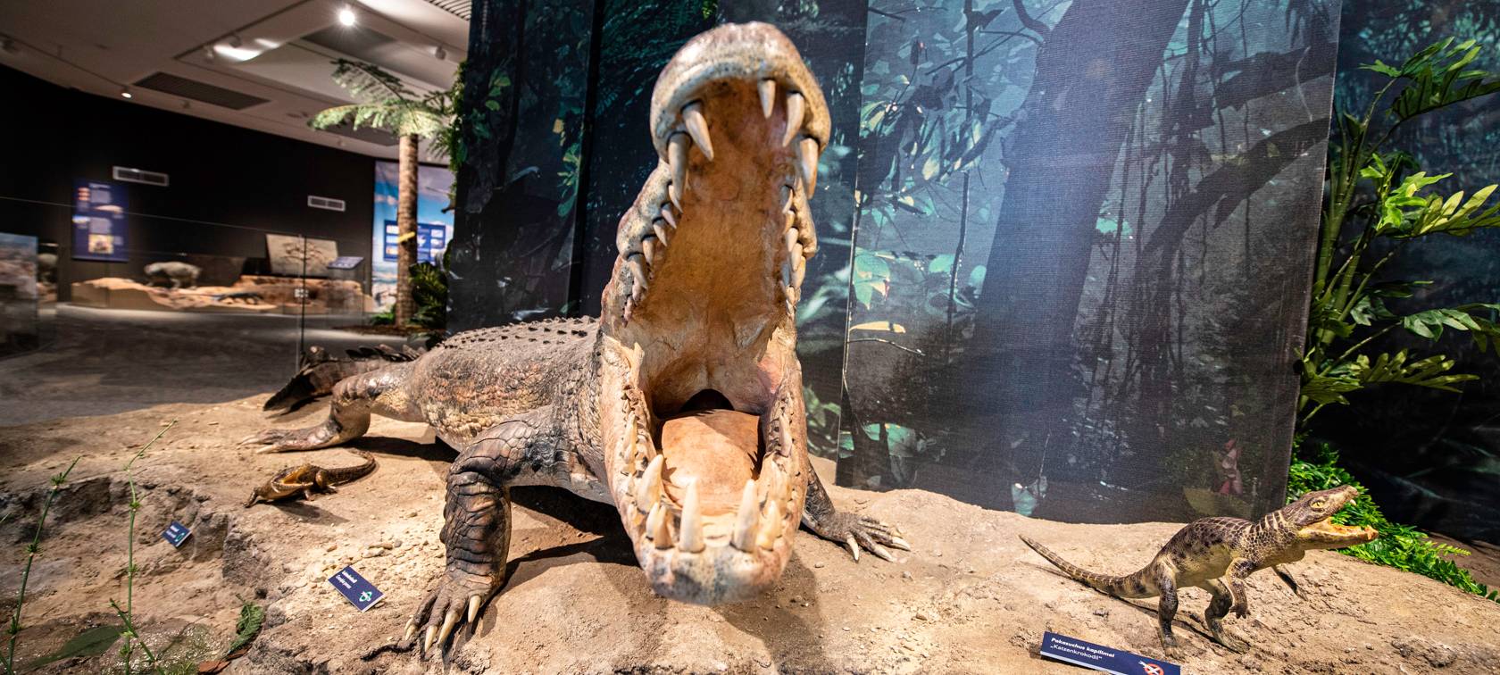 Veranstaltungen am Wochenende in Dortmund