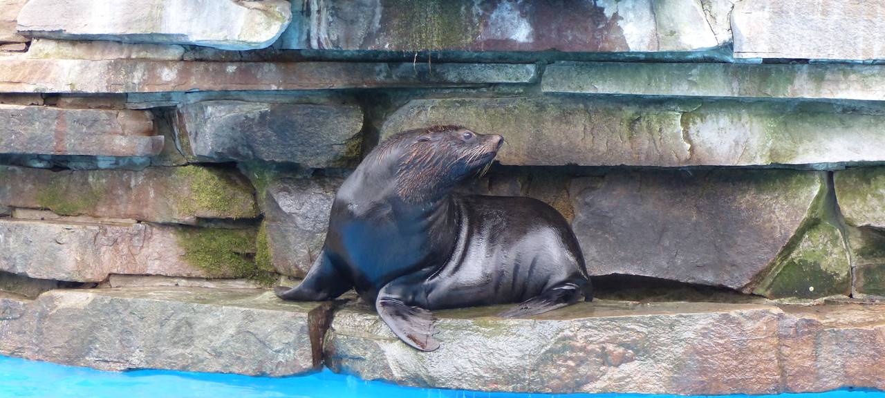 Acht Millionen Euro Minus für Sport- und Freizeitbetriebe