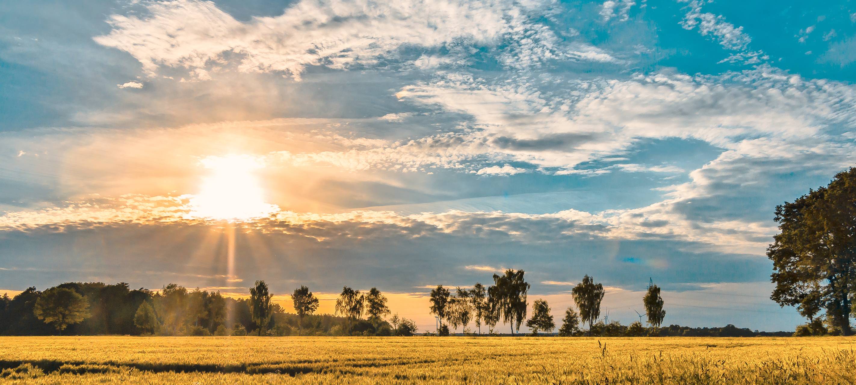 Das Wetter in Dortmund