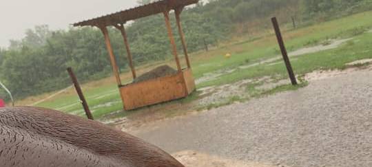 Wegen Dauerregen: Dortmunder Feuerwehr im Dauereinsatz