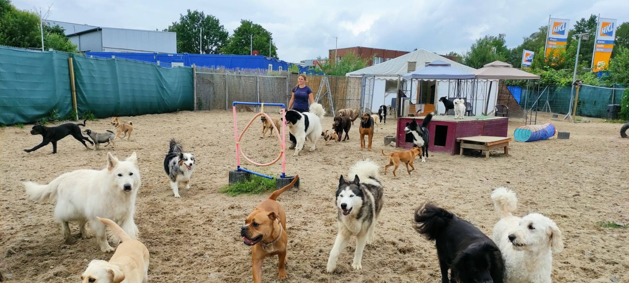 Zu Besuch in einer Dortmunder Hundetagesstätte