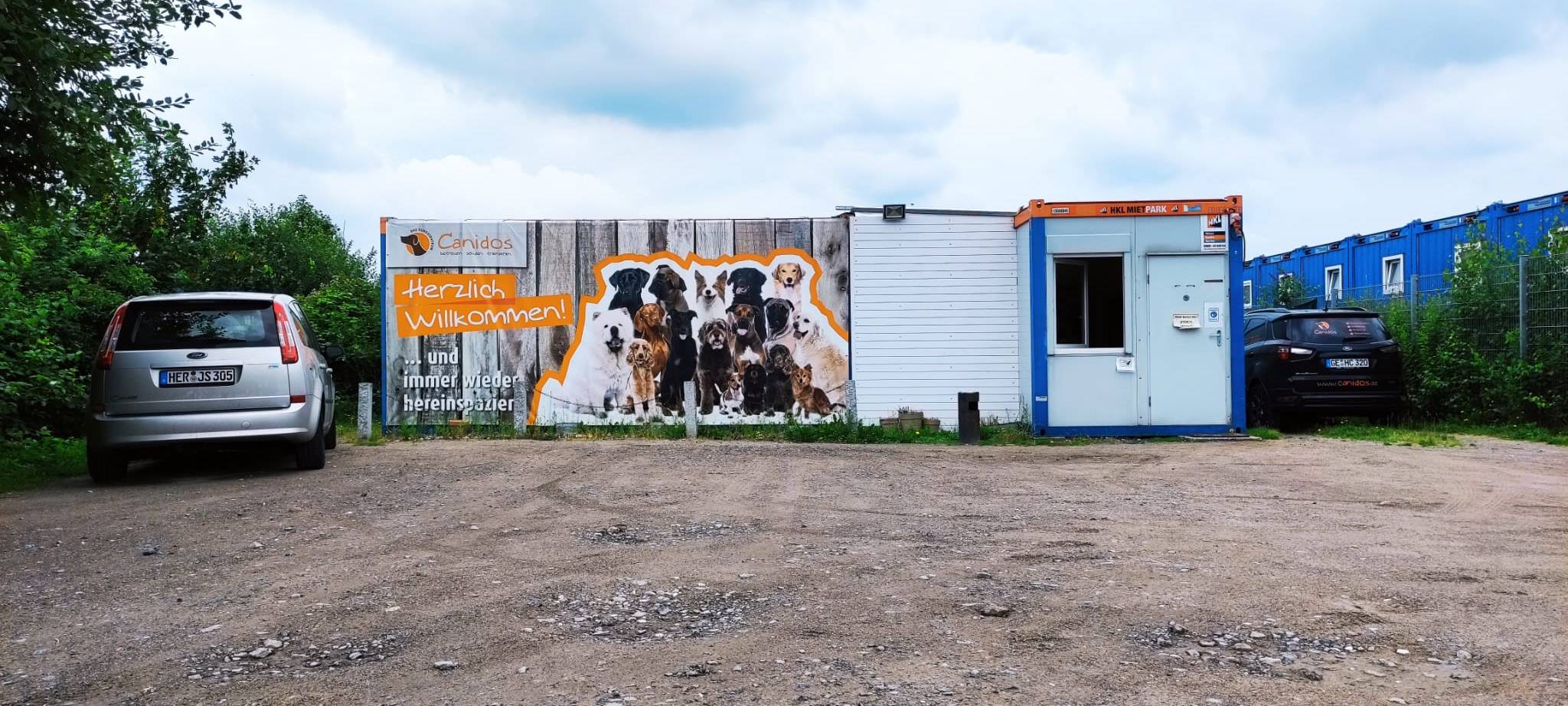 Zu Besuch in einer Dortmunder Hundetagesstätte