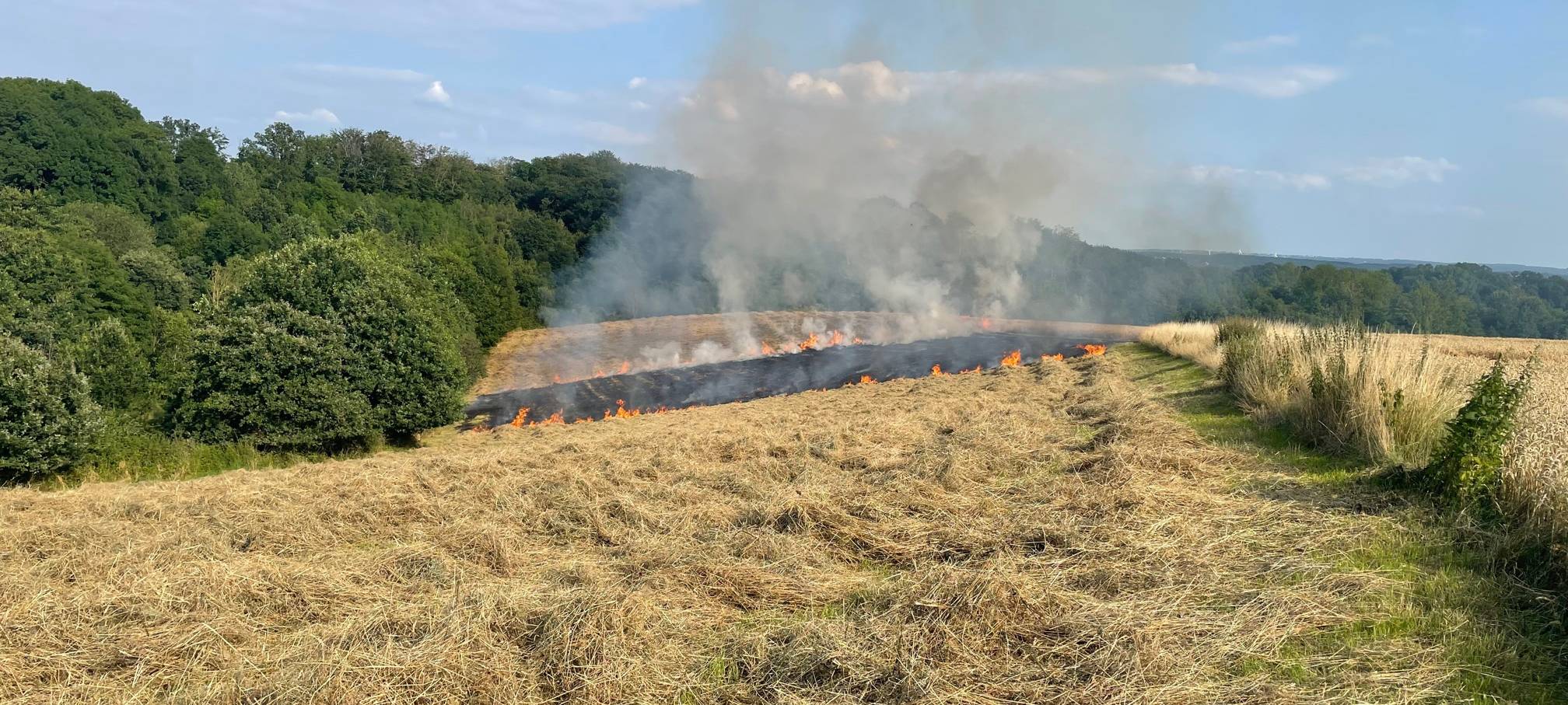 Stoppelfeld in Dortmund-Westrich abgebrannt