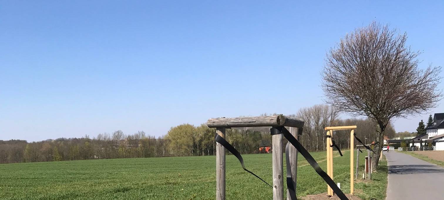 Vermehrt Vandalismusschäden an Bäumen in Dortmund