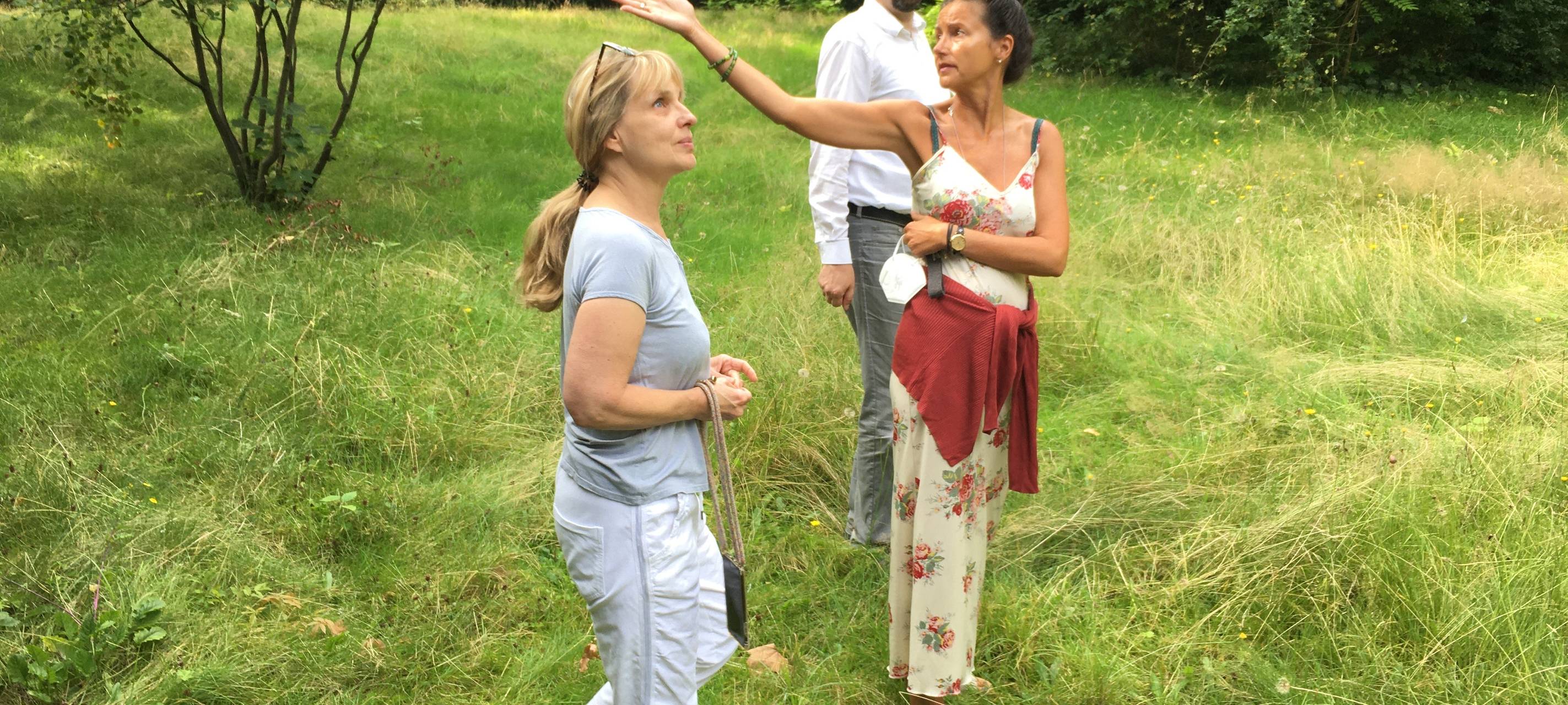 Dortmund: Bäume abholzen für mehr Wohnraum?