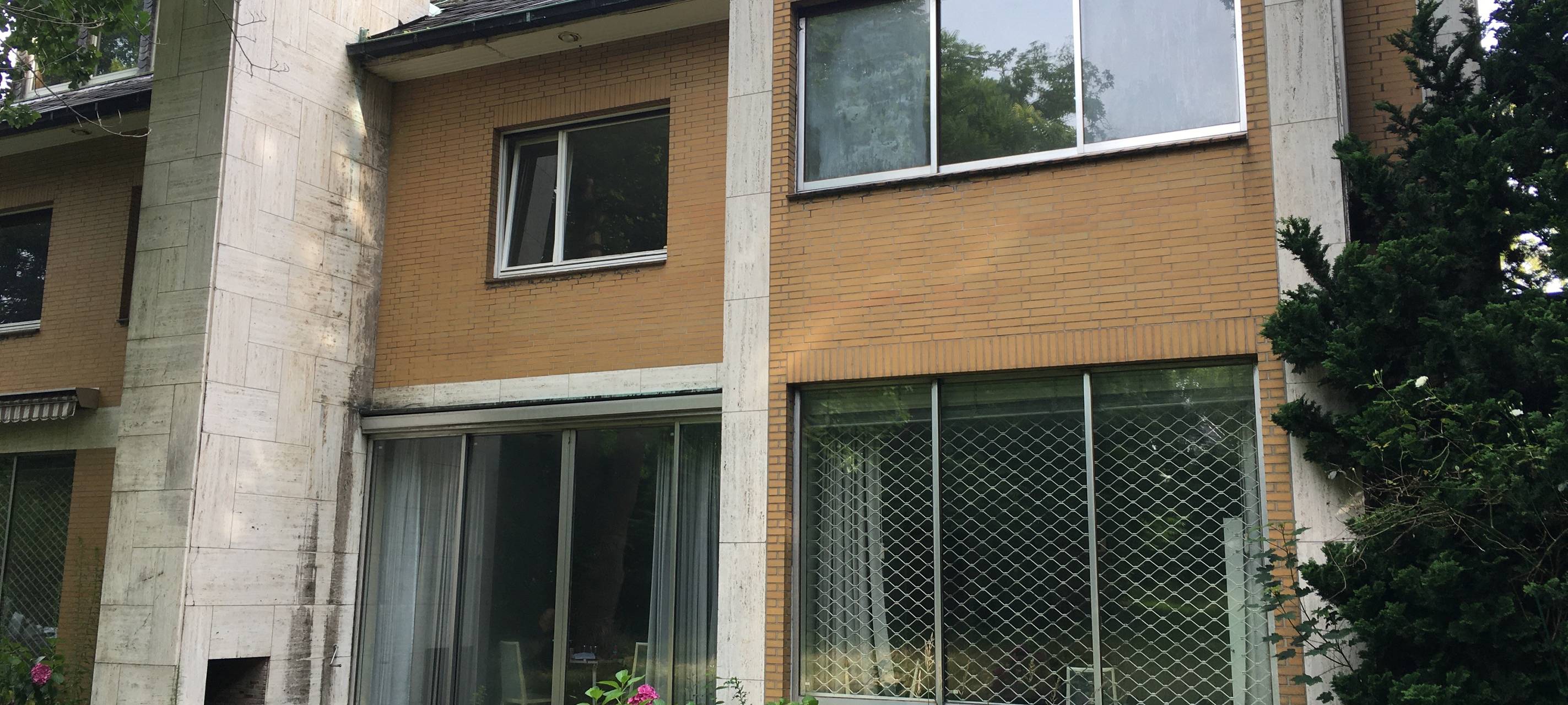 Dortmund: Bäume abholzen für mehr Wohnraum?