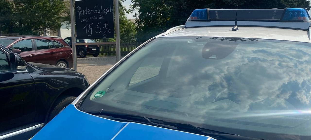 Nach Tiermisshandlung: Staatsanwaltschaft wertet Videos aus