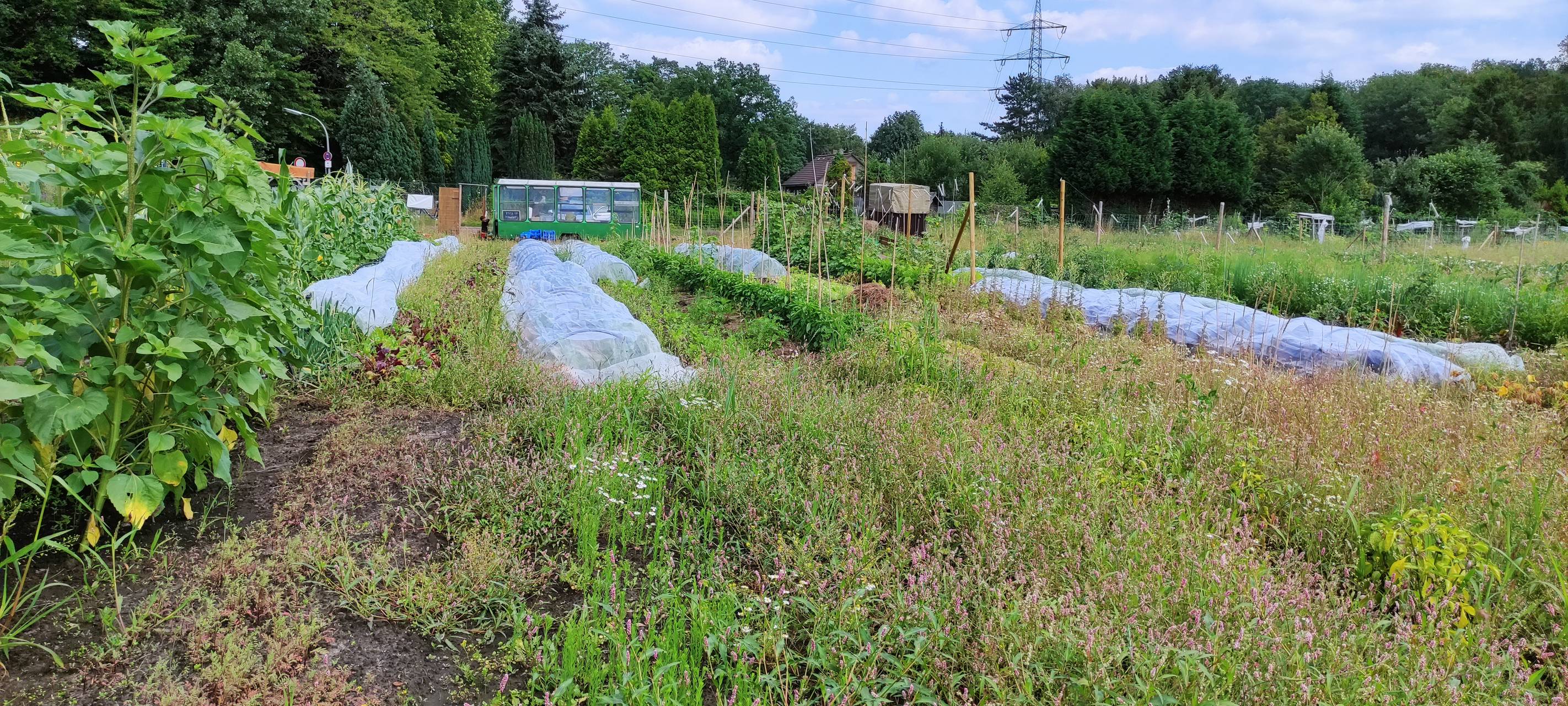 Marktschwärmer und Werkhof-Gärtnerei besucht
