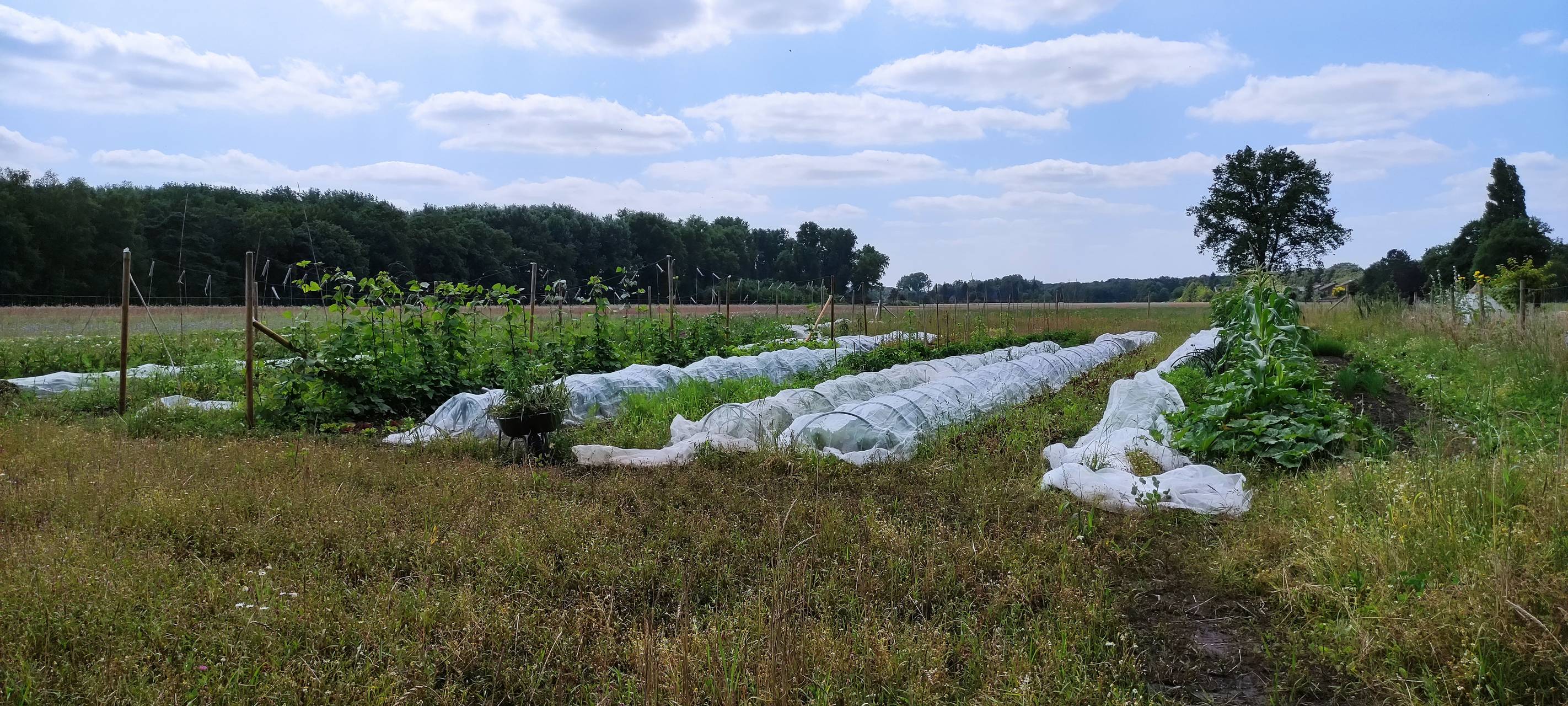 Marktschwärmer und Werkhof-Gärtnerei besucht