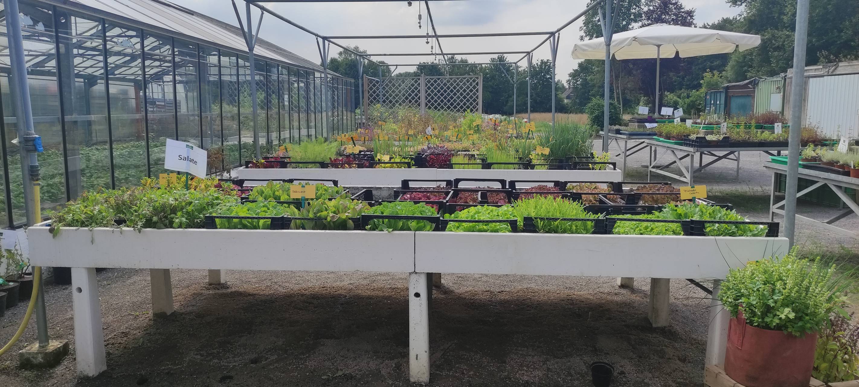 Marktschwärmer und Werkhof-Gärtnerei besucht