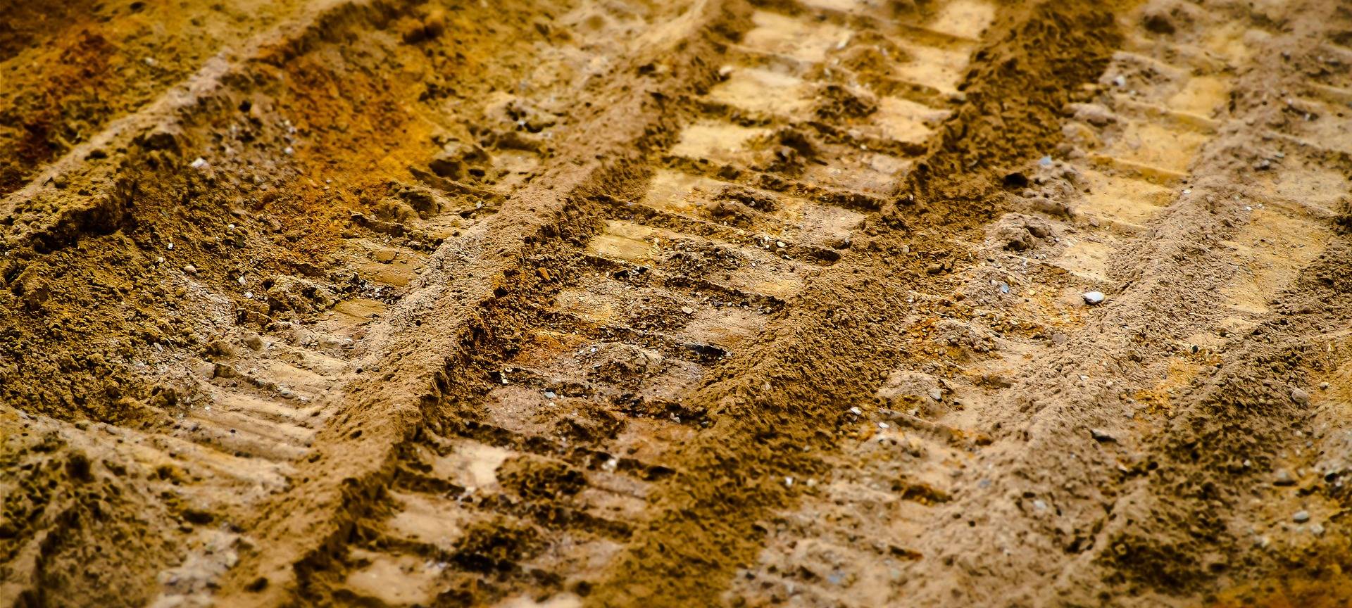 Schon wieder archäologische Funde am Königswall