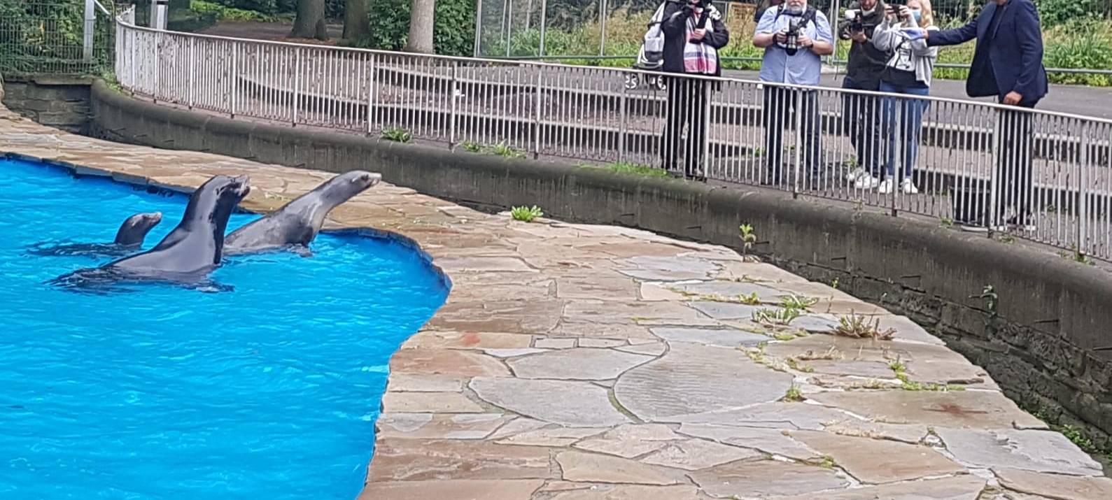 Spatenstich für neue Robbenanlage im Dortmunder Zoo