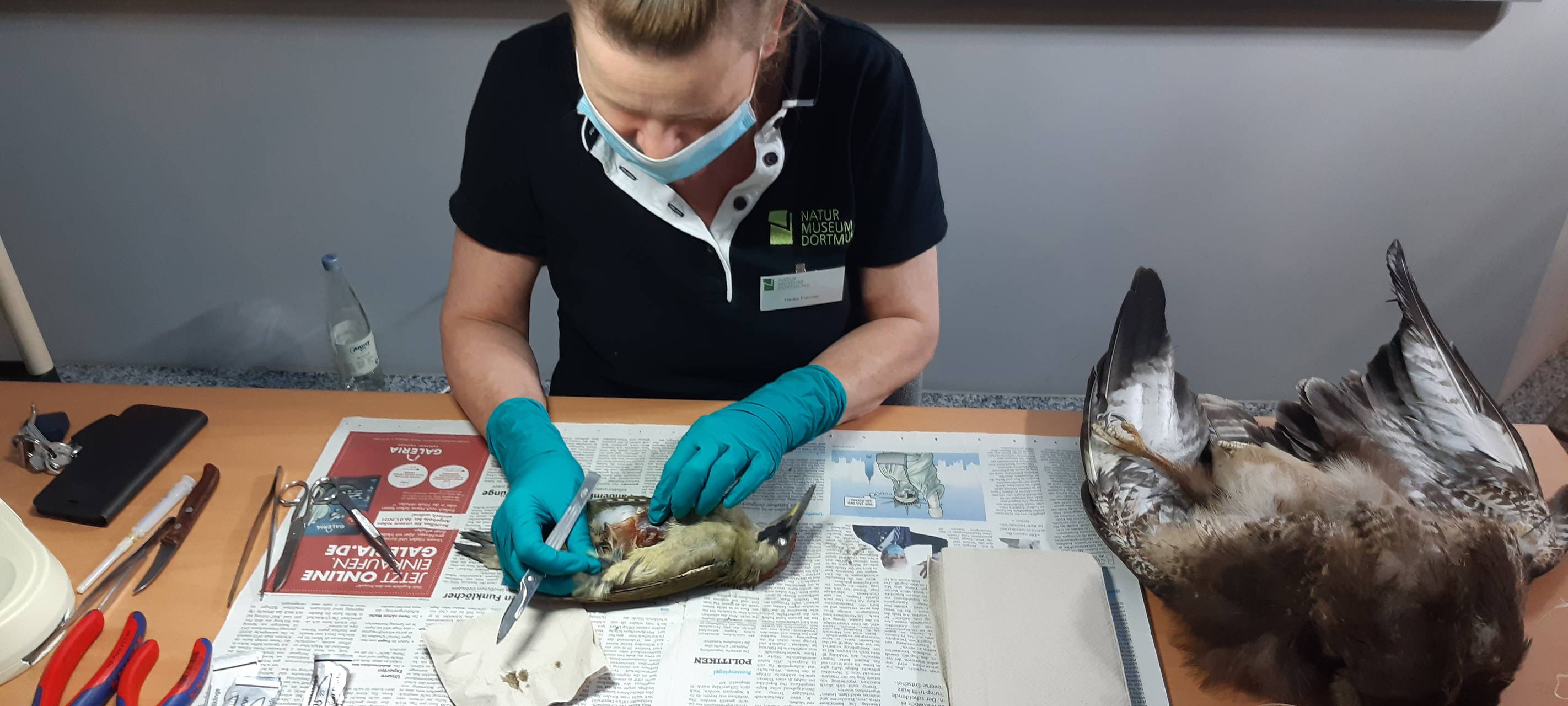 21. Dortmunder Museumsnacht