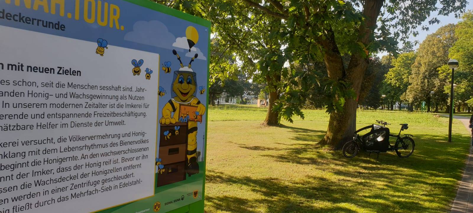 Neuer Wildblumenpark an den Dortmunder Westfalenhallen