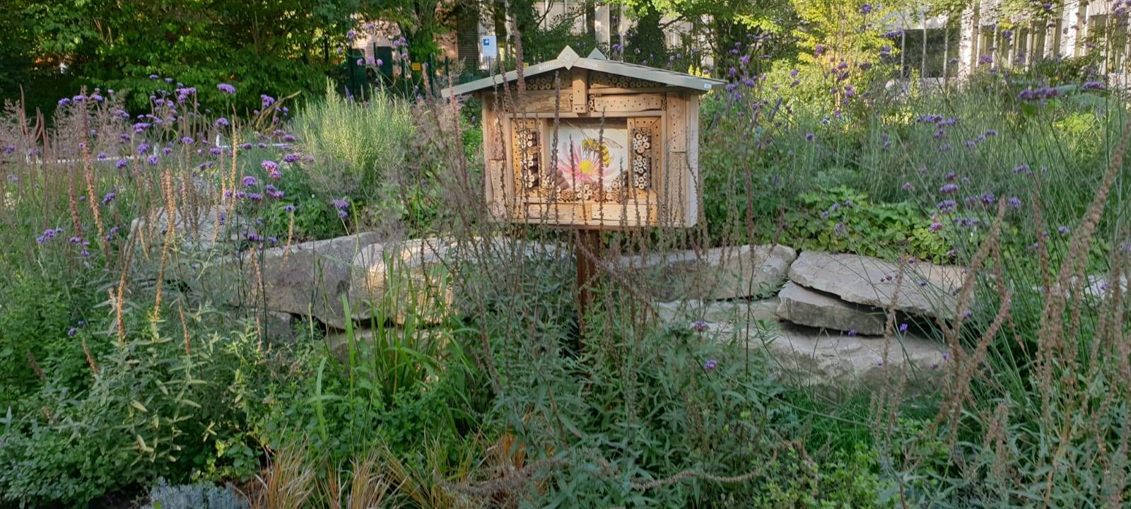 Neuer Wildblumenpark an den Dortmunder Westfalenhallen