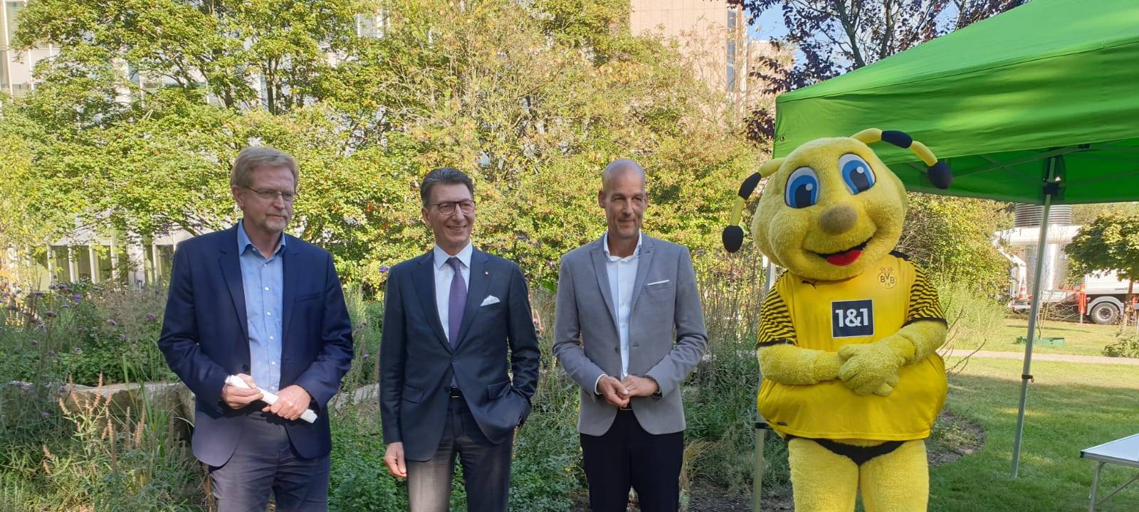 Neuer Wildblumenpark an den Dortmunder Westfalenhallen