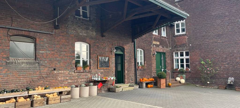 Ausflug ins Maislabyrinth auf Hof Mertin