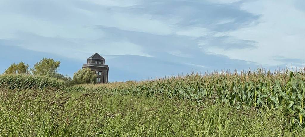 Ausflug ins Maislabyrinth auf Hof Mertin