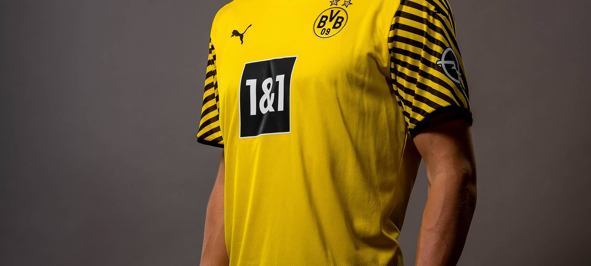 BVB: Haaland in Welt-Elf