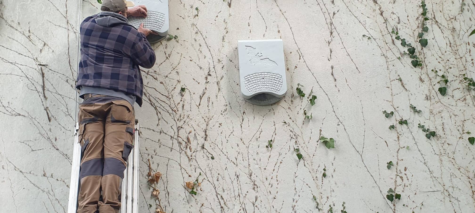 Dortmunder Westfalenpark: Winterquartiere für Fledermäuse eingerichtet