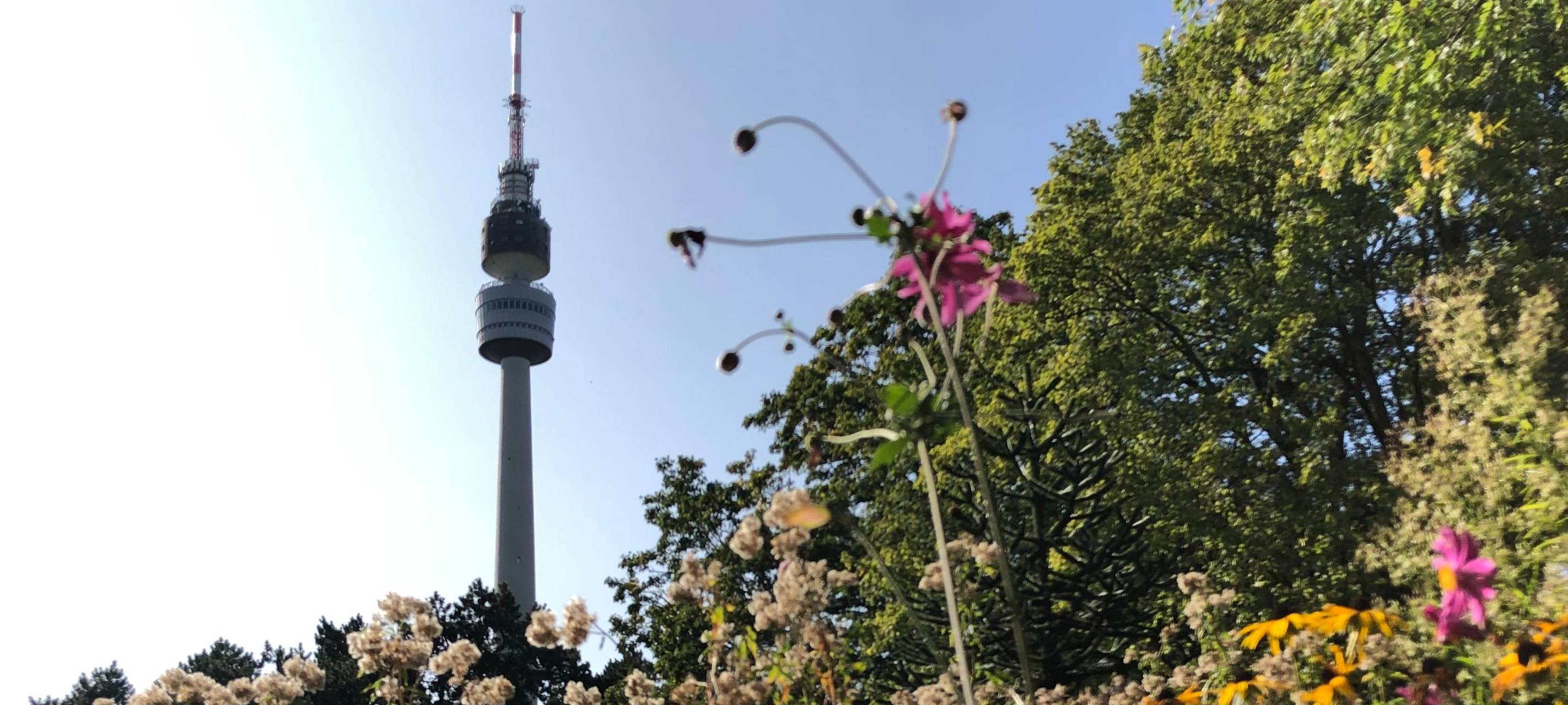 Tag des offenen Denkmals in Dortmund: Ein Wochenende voller Geschichte