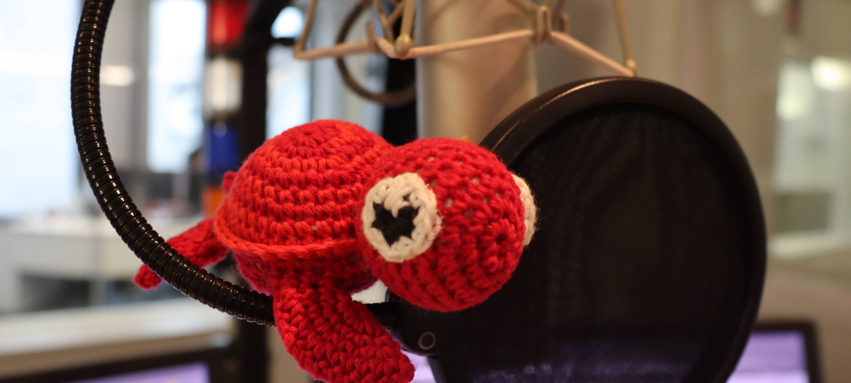 Schals und Socken, das muss rocken! Radio 91.2 strickt für Lichtblicke