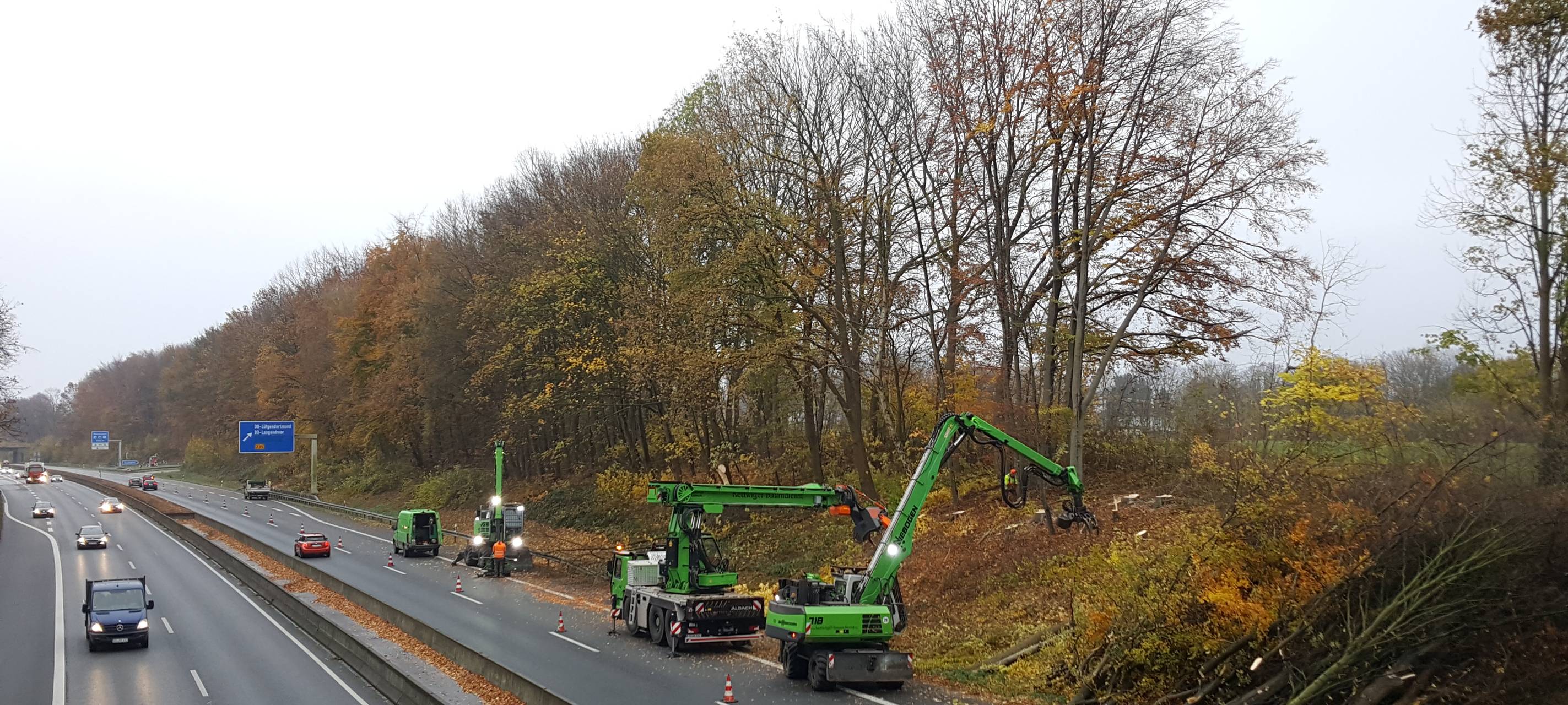 Dortmund: Streit um Baumrodungen an der A40