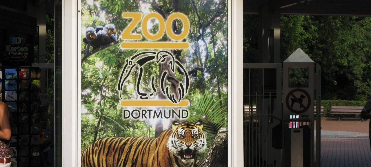 Gerüst im Dortmunder Zoo eingestürzt