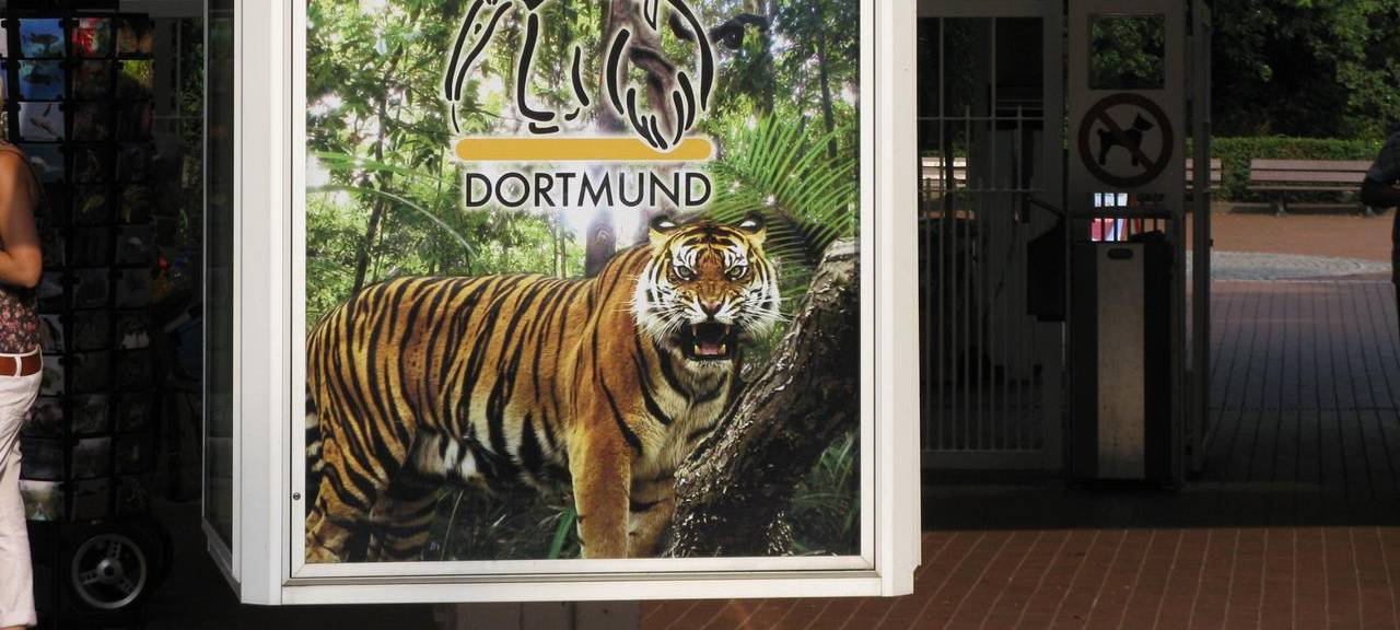 Vergleichsportal: Zoo Dortmund vor allem preiswert