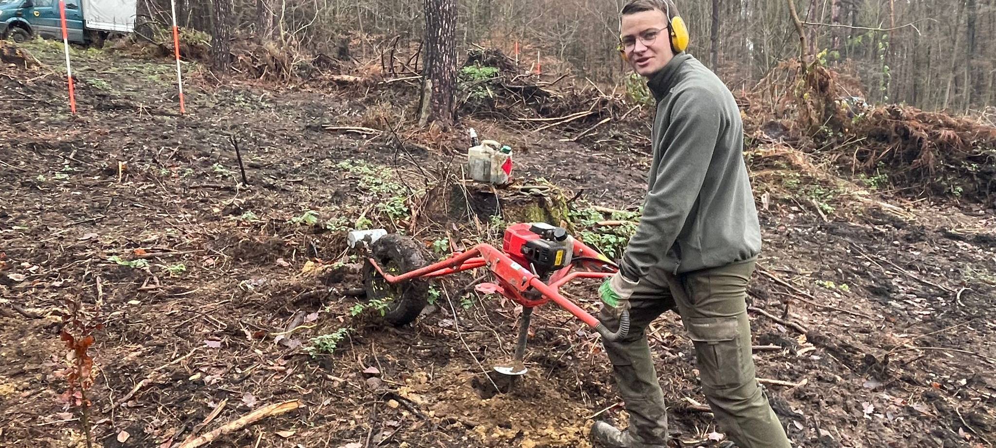 Stadt Dortmund pflanzt 13.000 neue Bäume im Dortmunder Süden