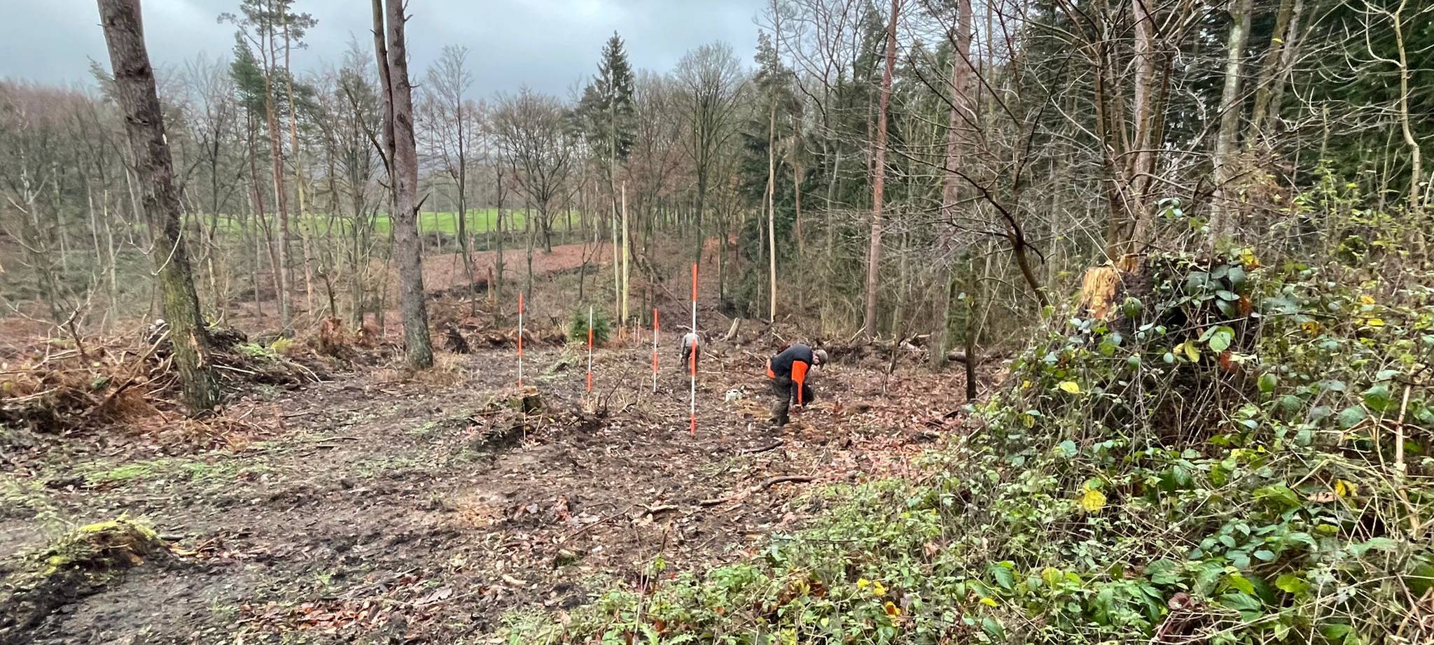 Stadt Dortmund pflanzt 13.000 neue Bäume im Dortmunder Süden