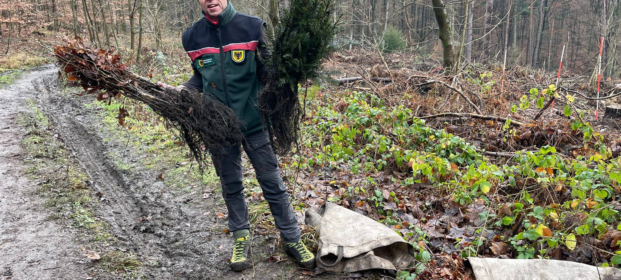 Stadt Dortmund pflanzt 13.000 neue Bäume im Dortmunder Süden