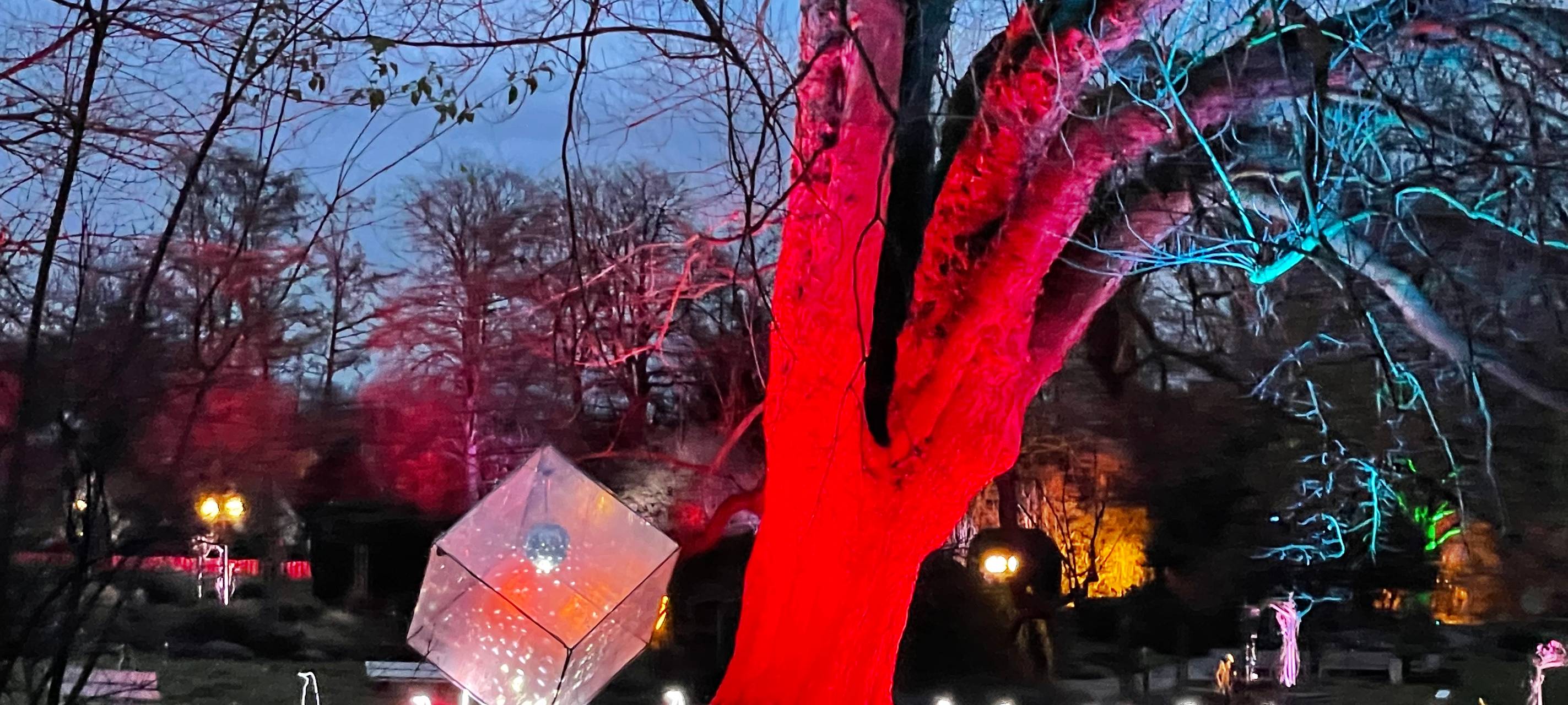 Winterleuchten beginnt im Dortmunder Westfalenpark