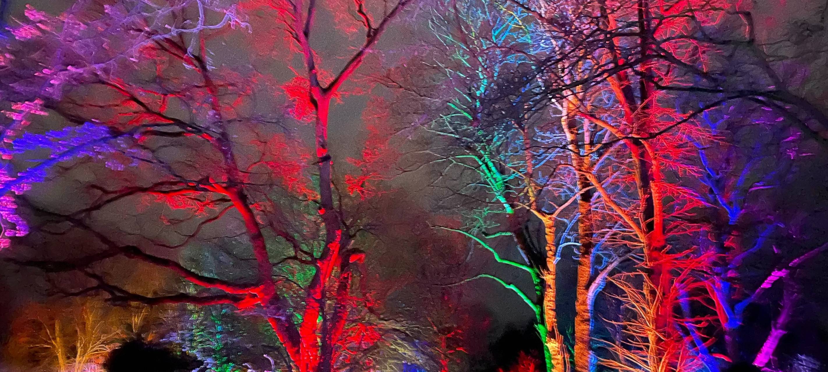 Winterleuchten beginnt im Dortmunder Westfalenpark