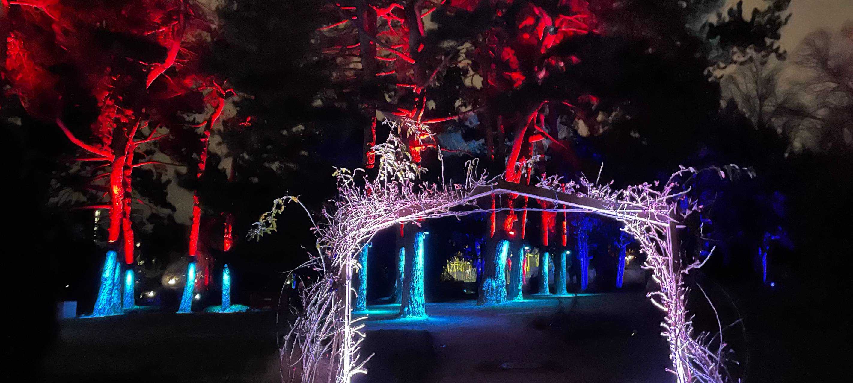 Winterleuchten beginnt im Dortmunder Westfalenpark